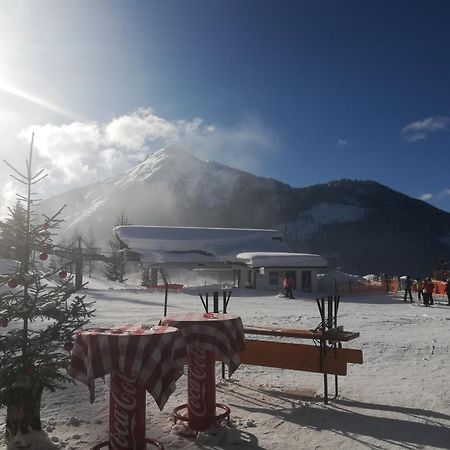 Hotel Rosner Алтенмаркт им Понгау Екстериор снимка