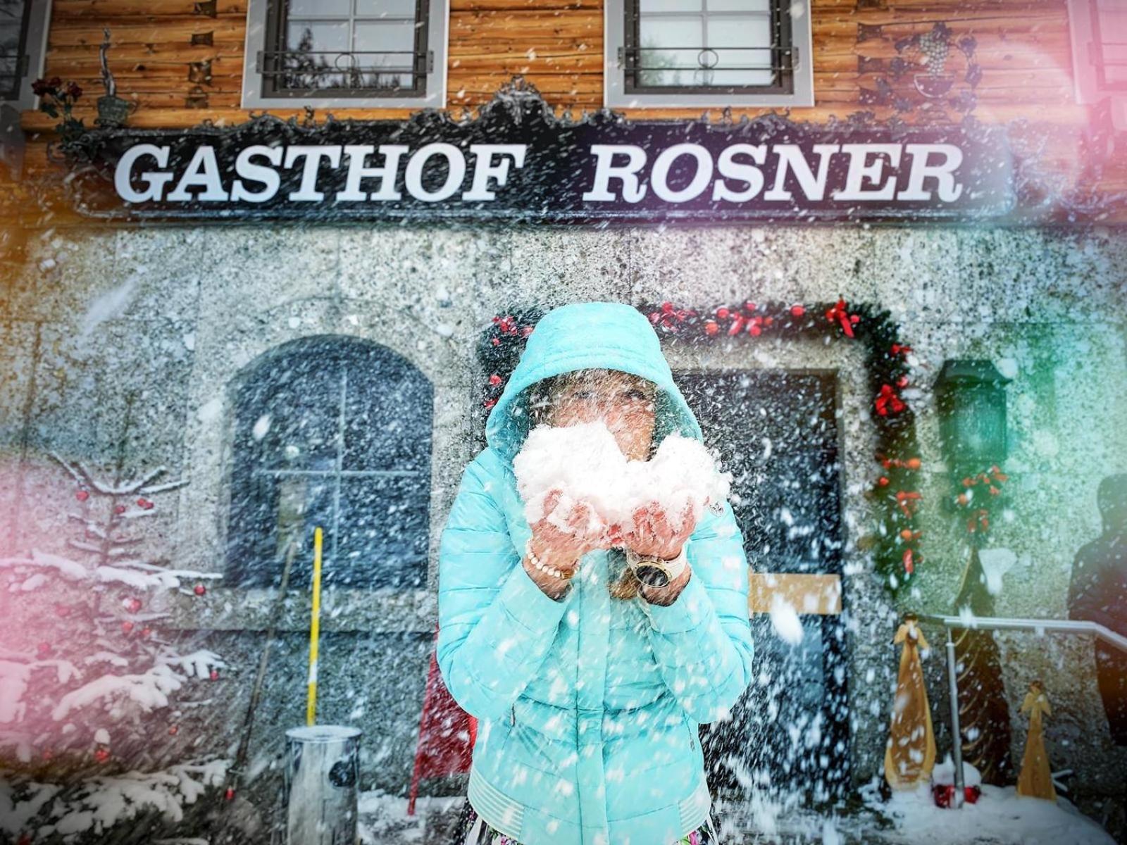 Hotel Rosner Алтенмаркт им Понгау Екстериор снимка